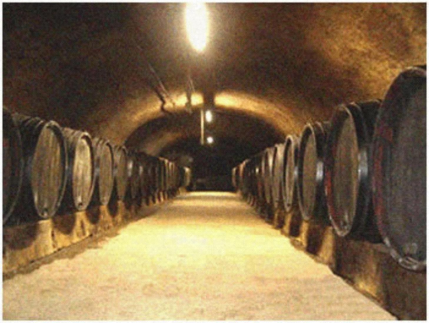 Ferienweingut Peter-Jos. Hauth Bernkastel-Kues Kültér fotó